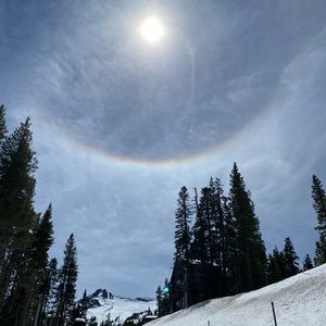 Meet your Posher, Xue